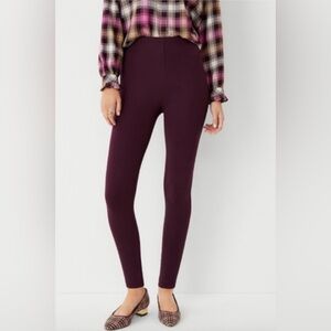 ANN TAYLOR BURGUNDY SIDE ZIP ELASTIC WAIST LEGGINGS SIZE EXTRA SMALL